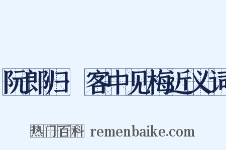 阮郎归·客中见梅近义词是什么意思的图片